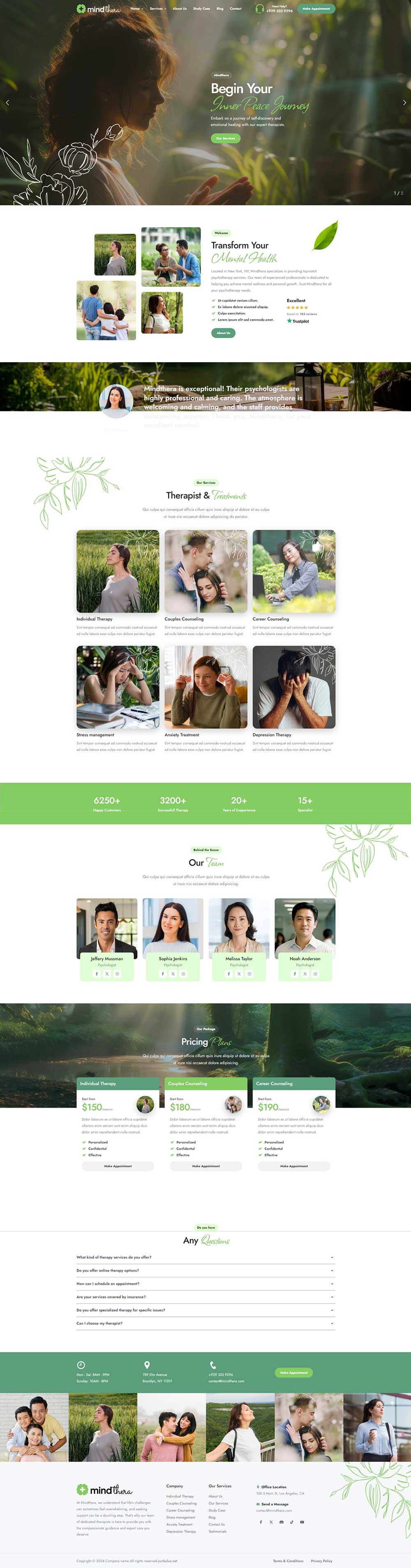 响应式心理健康咨询服务机构网站WordPress模板预览图