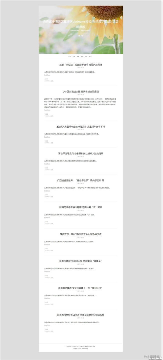 小清新响应式自适应手机站文章博客Wordpress模板截图
