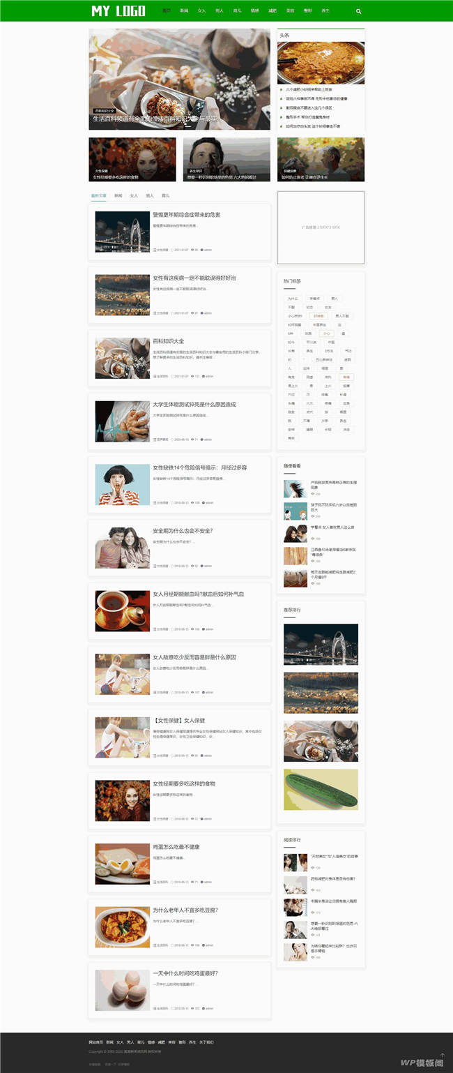 响应式自适应美容养生新闻资讯类网站Wordpress模板截图