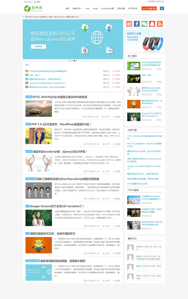 简约两栏蓝白色wordpress博客主题模板展示图