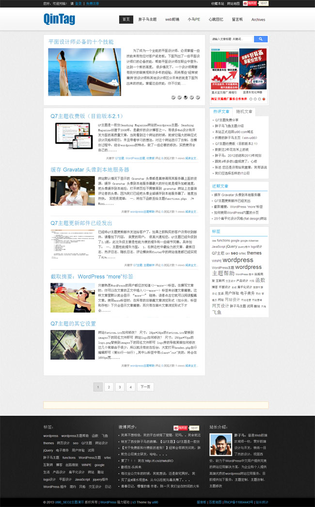 白色简洁seo博客wp模板展示图