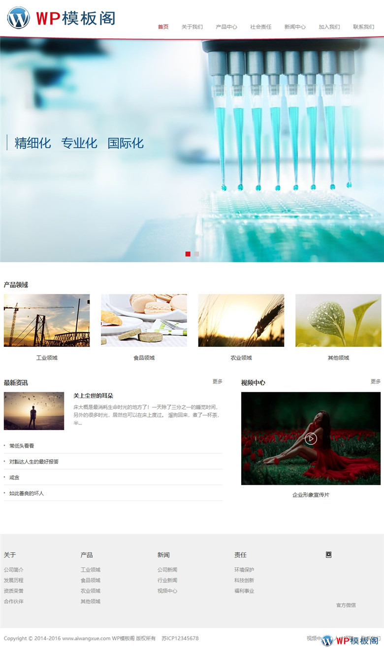(自适应手机版)响应式精细化工化学类WordPress模板源码演示图