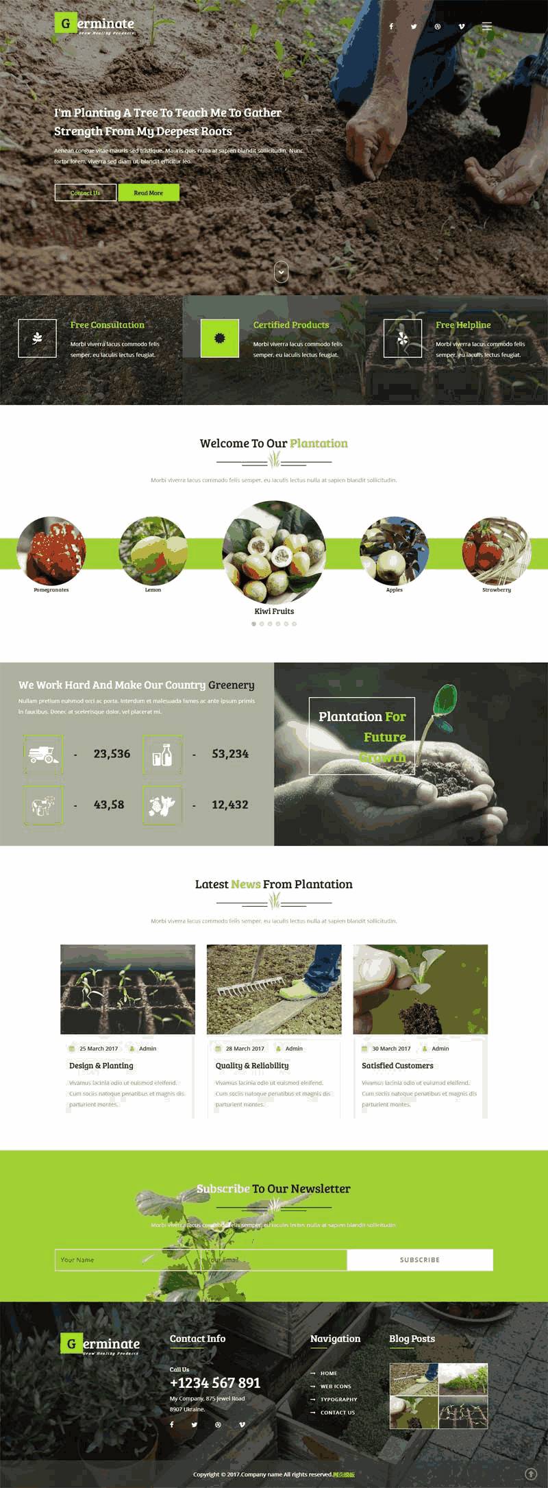 绿色宽屏的蔬菜水果农业种植网站Wordpress模板(带手机版)效果图