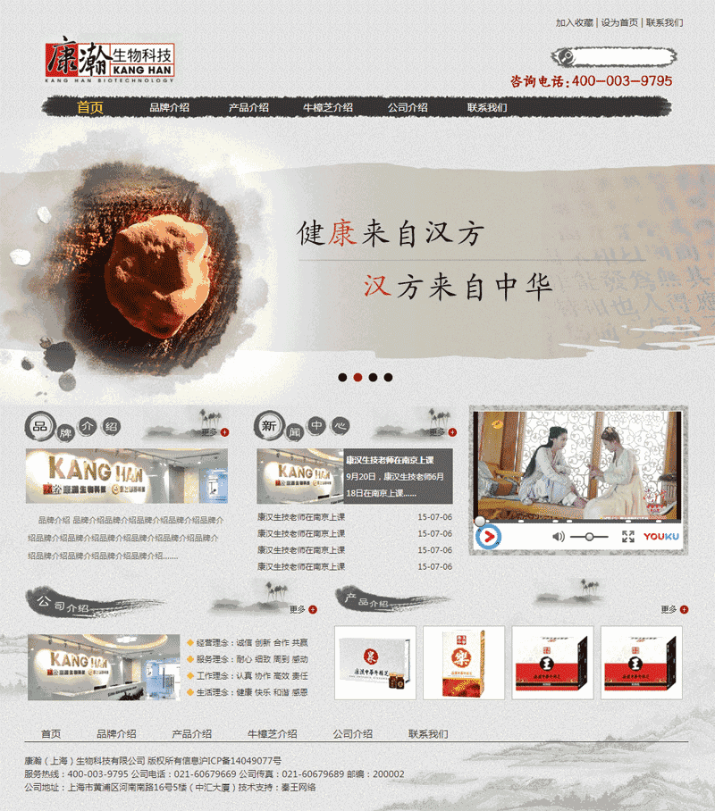 中国水墨风格的健康医药介绍网站Wordpress模板(带手机版)效果图