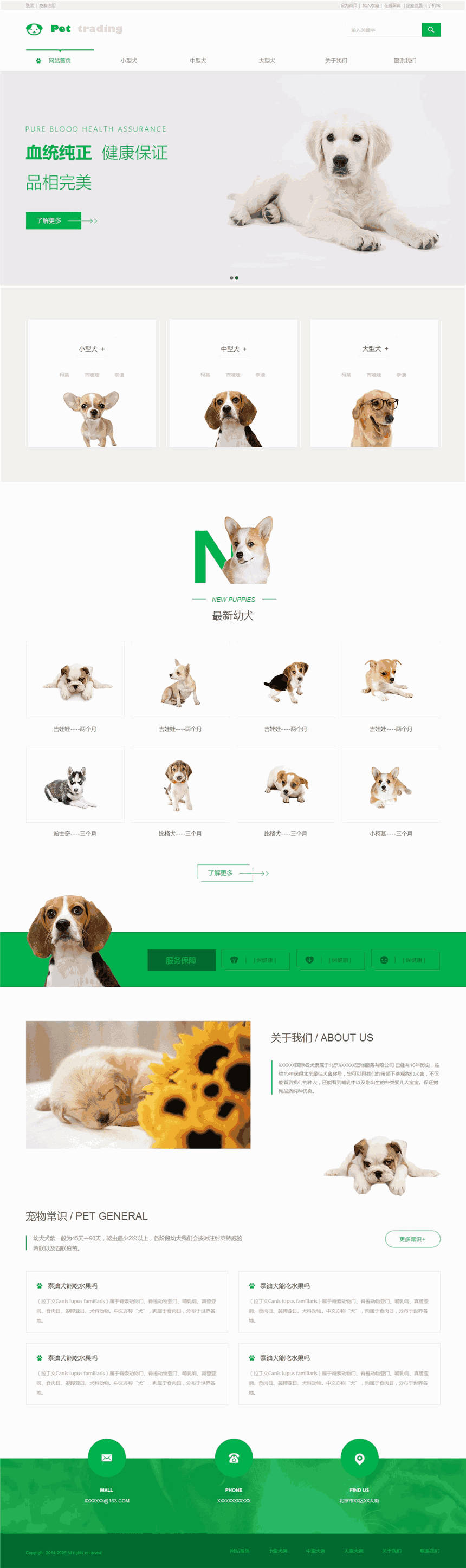 大气宠物交易公司网站网站模板(含移动站)预览图