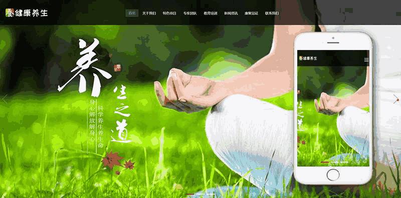 响应式经络养生健康类网站Wordpress模板自适应手机端效果图