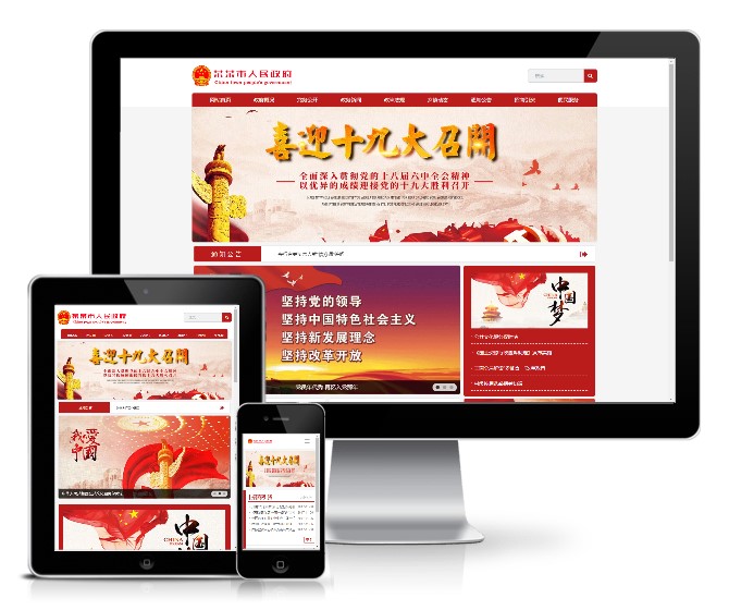 政府部门协会民间组织类网站模板(响应式)展示图