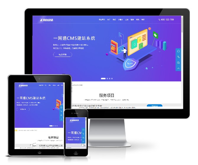 网站设计网络营销设计类网站模板(带手机版)展示图