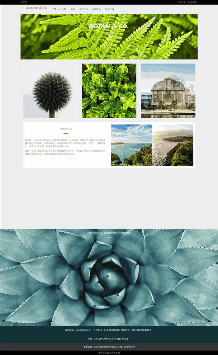 响应式绿植出租摆放网站WordPress模板主题效果图
