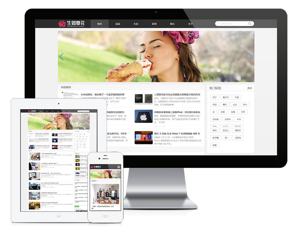 响应式博客自媒体运营类网站Wordpress模板展示图