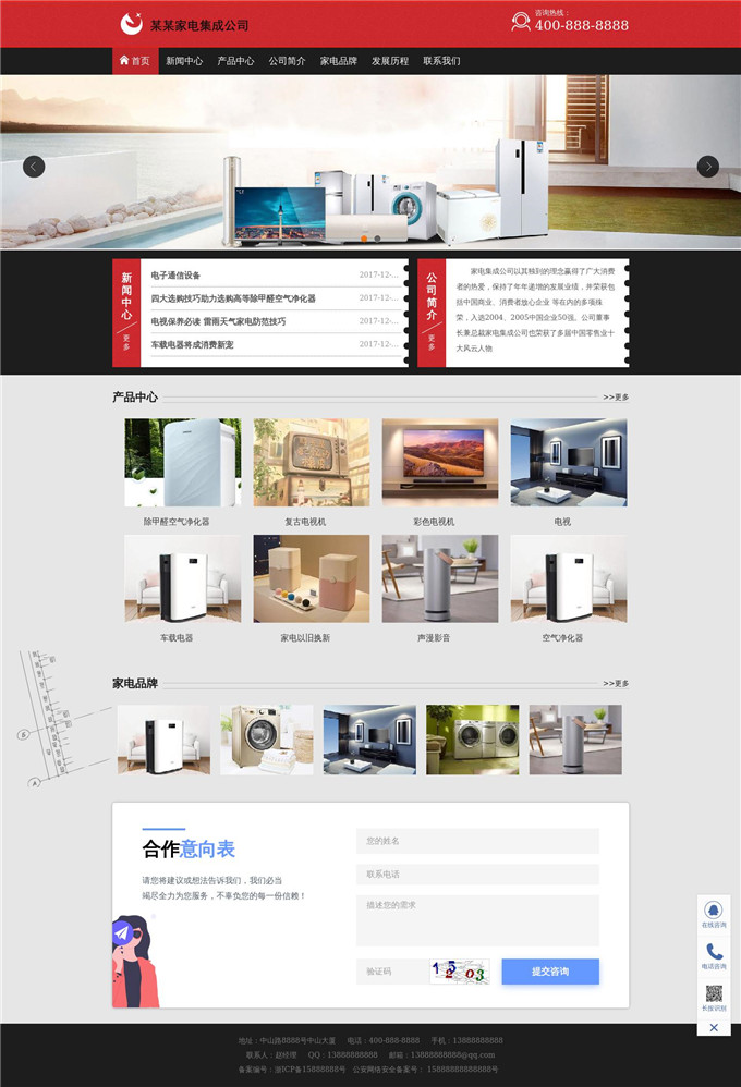 家电专卖店家电集成公司WP模板展示图
