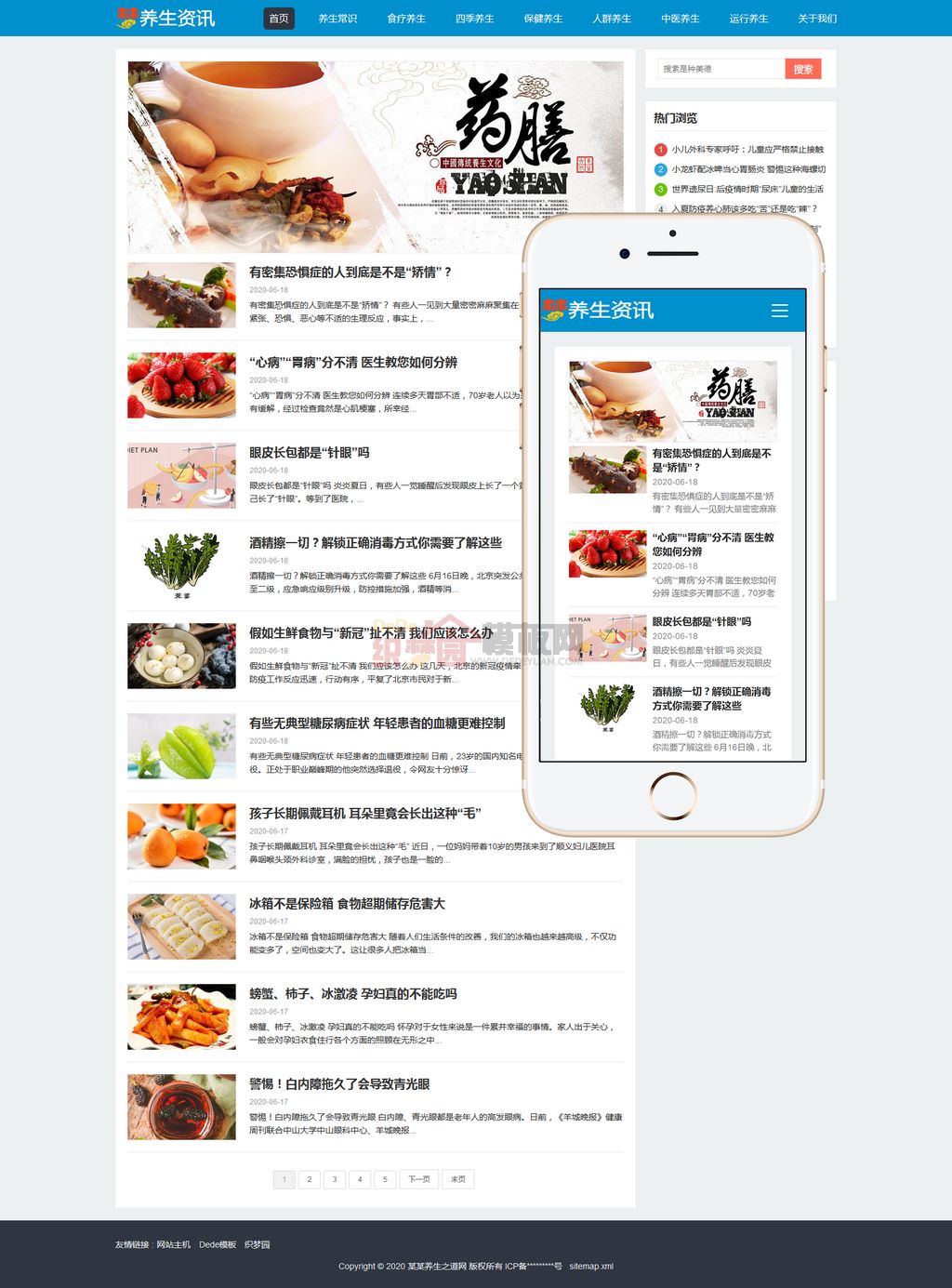 响应式养生资讯文章新闻博客网站Wordpress模板截图